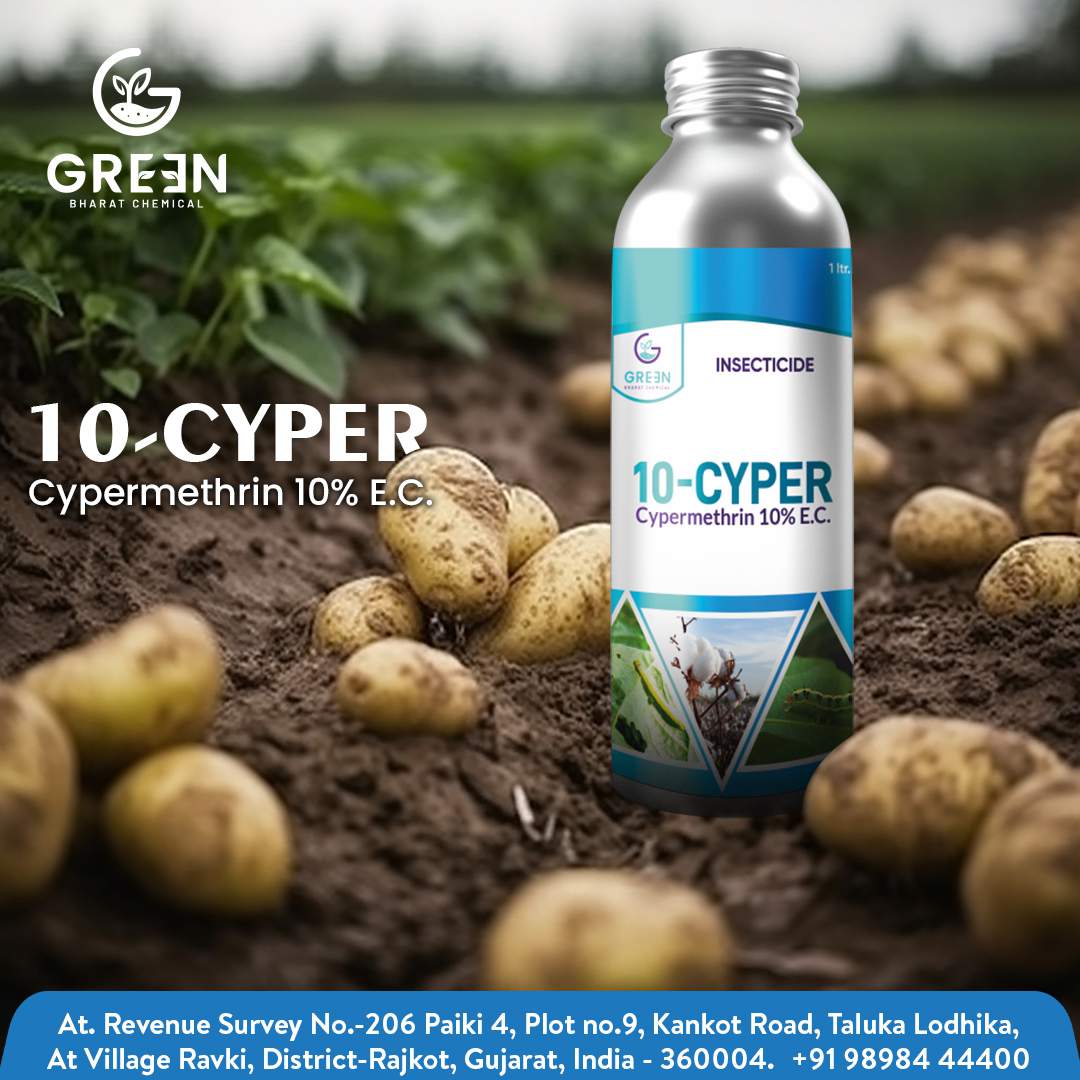 10-Cyper
